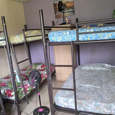 דויד Pacasa Hostel מראה חיצוני תמונה