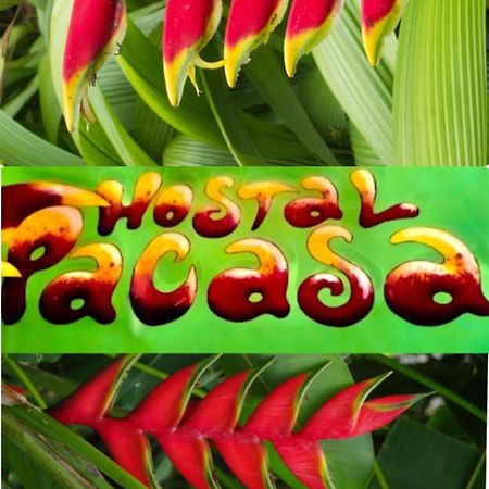 דויד Pacasa Hostel מראה חיצוני תמונה
