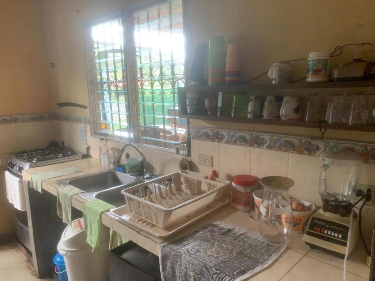 דויד Pacasa Hostel מראה חיצוני תמונה