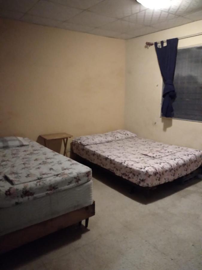 דויד Pacasa Hostel מראה חיצוני תמונה