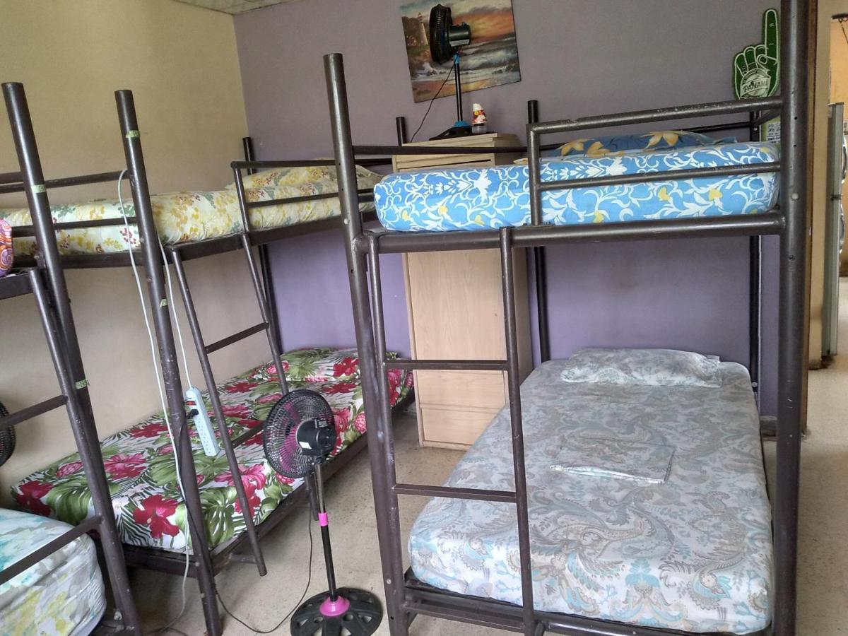 דויד Pacasa Hostel מראה חיצוני תמונה