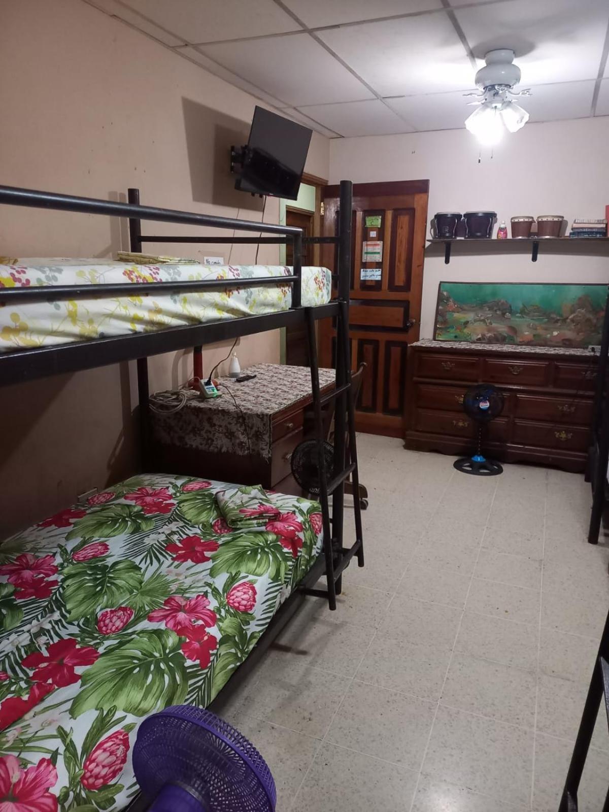 דויד Pacasa Hostel מראה חיצוני תמונה