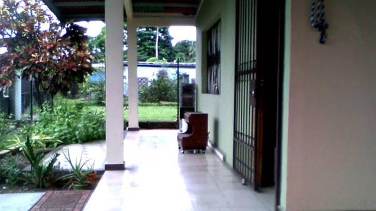 דויד Pacasa Hostel מראה חיצוני תמונה