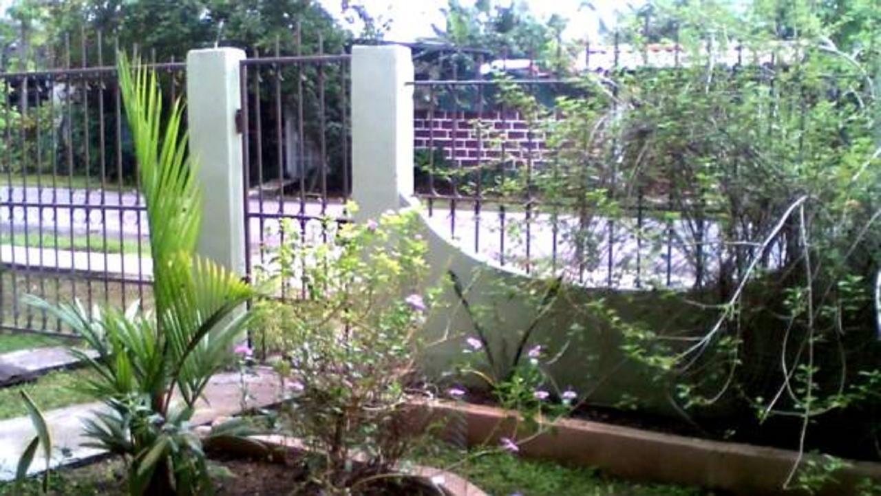 דויד Pacasa Hostel מראה חיצוני תמונה