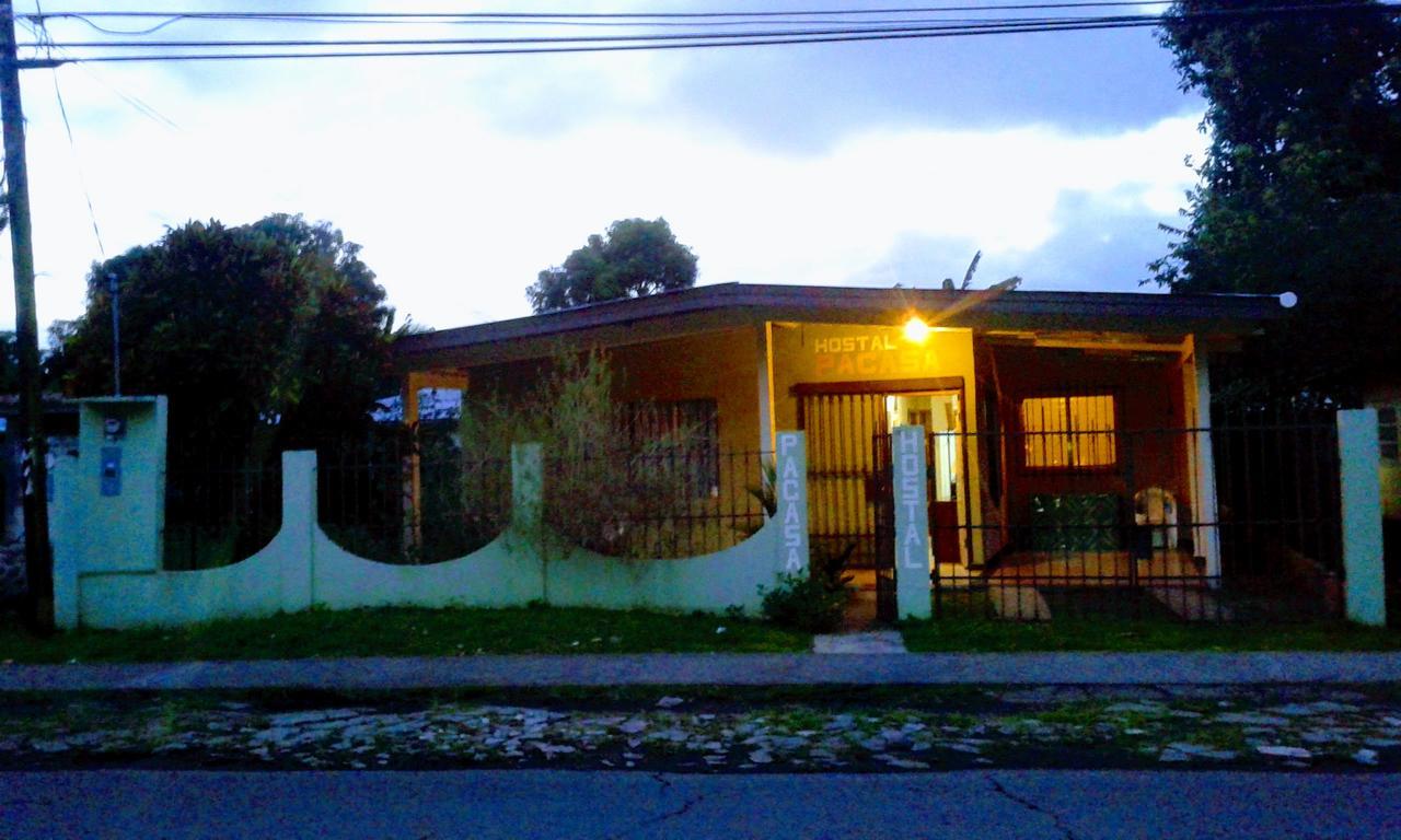 דויד Pacasa Hostel מראה חיצוני תמונה