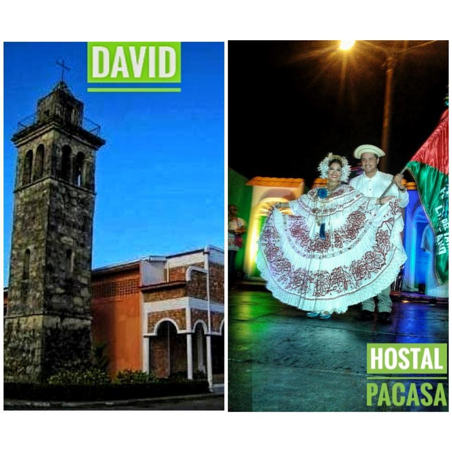 דויד Pacasa Hostel מראה חיצוני תמונה
