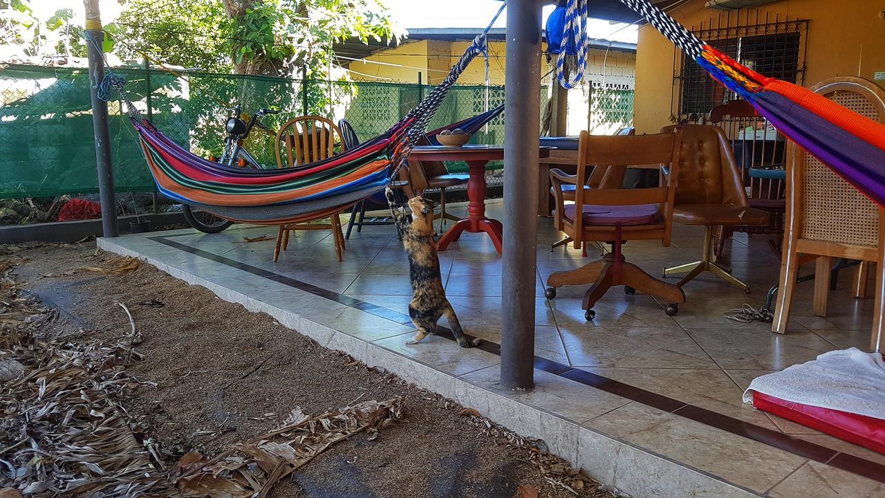 דויד Pacasa Hostel מראה חיצוני תמונה