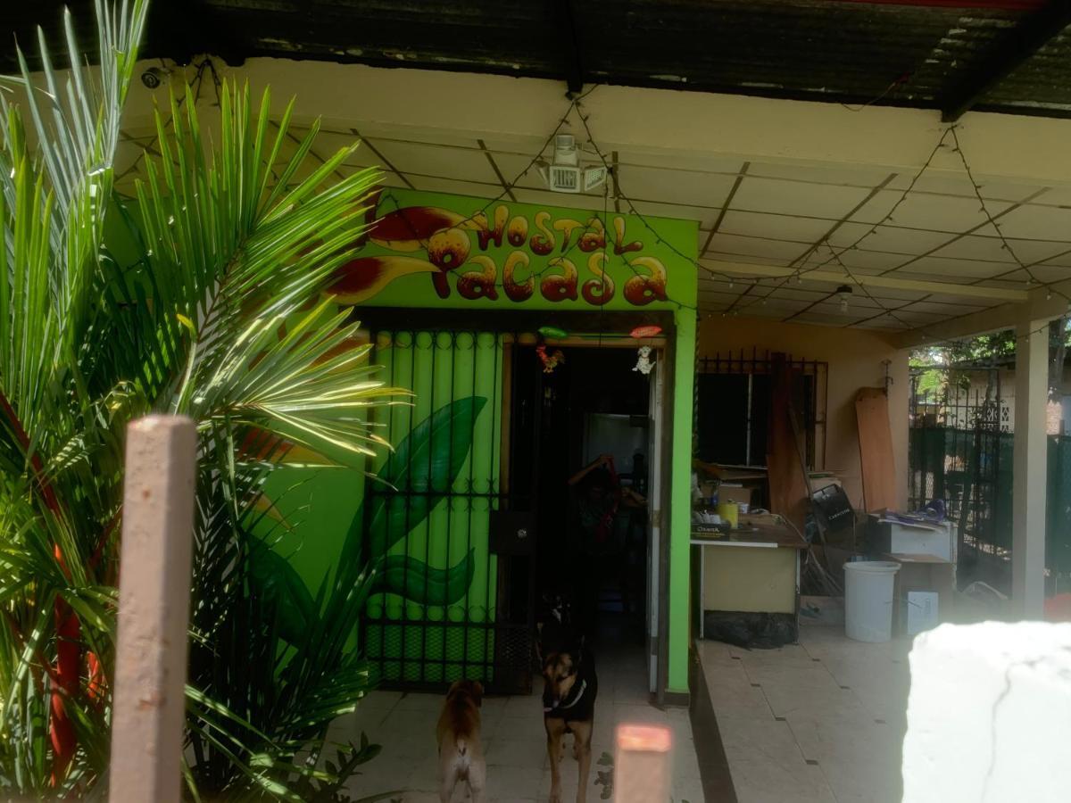 דויד Pacasa Hostel מראה חיצוני תמונה