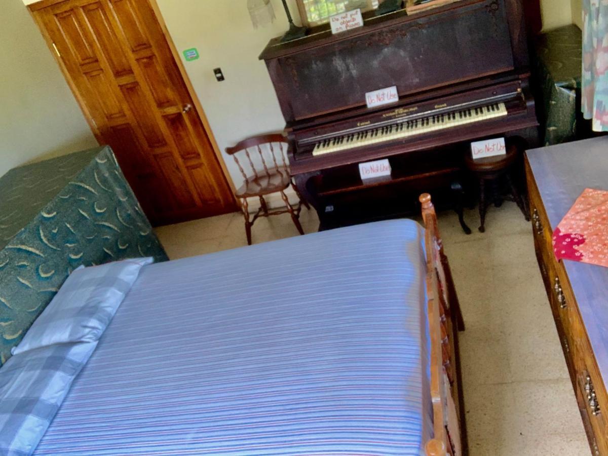 דויד Pacasa Hostel מראה חיצוני תמונה